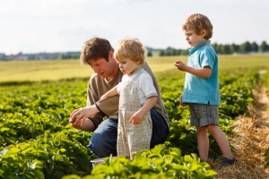 2 children with an adult looking at a farm field of vegetables 2 children with an adult looking at a farm field of vegetables